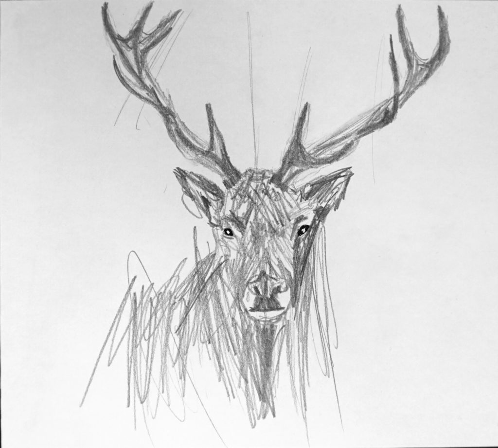 hirsch