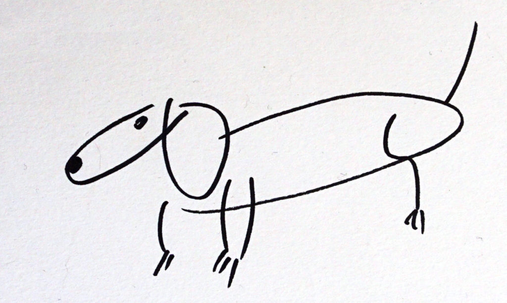 dog