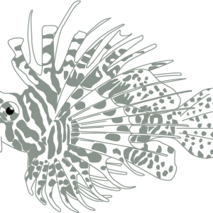 Fish@4x